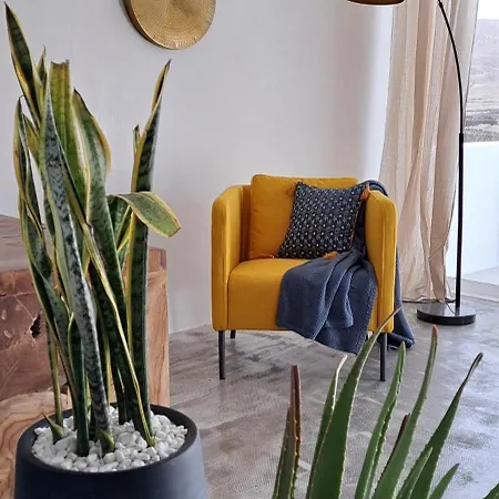 Cocomar Ii- Luxurious Loft, Just The Ocean And Volcano Apartament Guatiza